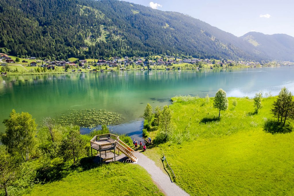 Grüne Wiese am Weissensee